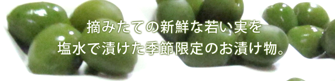 国産・香川県産・小豆島産オリーブ新漬け ｜ アライオリーブ